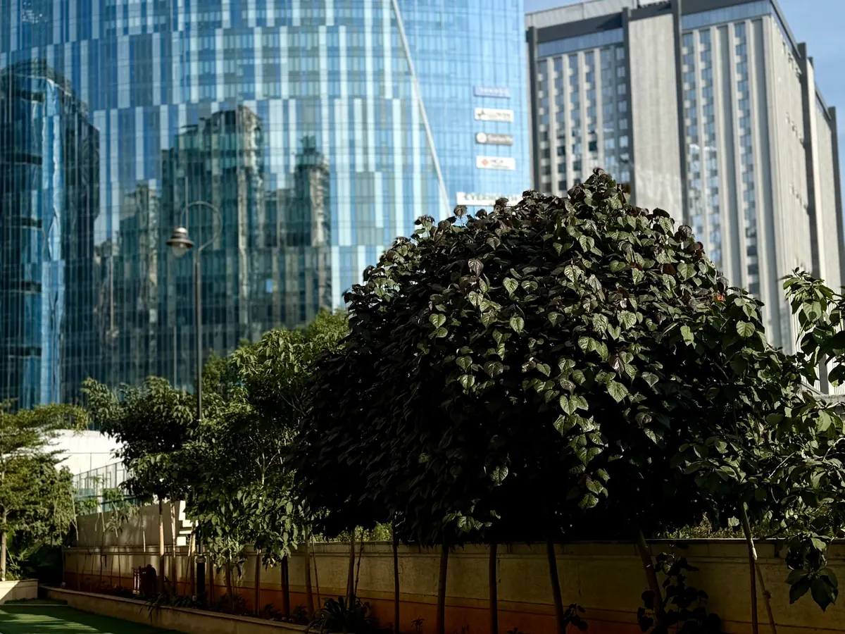 Glass office towers in Hyderabad's tech park